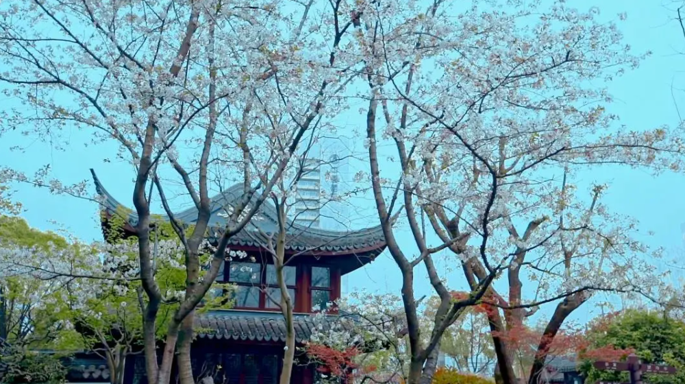 微信截图_20210526172147.png